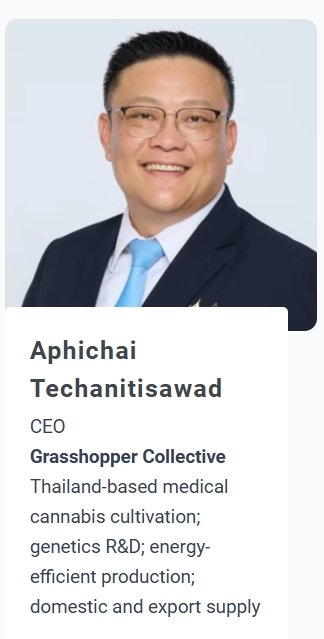 Grasshopper Collective executive profile